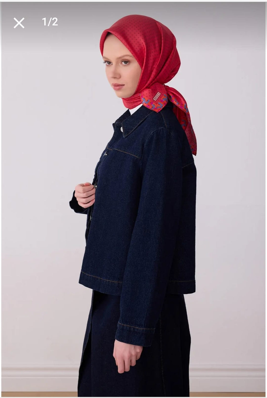 Belli Saf İpek Eşarp (4326-33)
