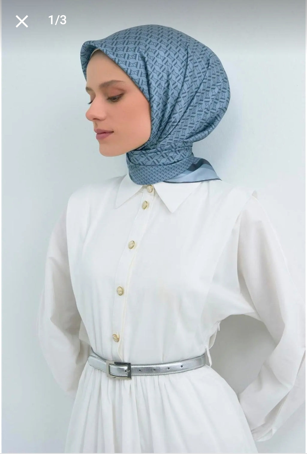 Armine Sura İpek (9502-02)