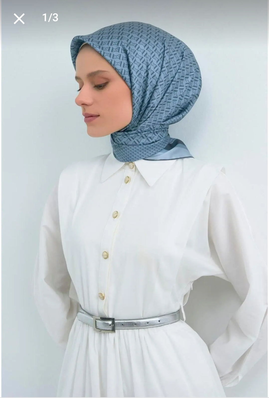 Armine Sura İpek (9502-02)